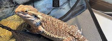 We did not find results for: Gage S Exotic Pet Supplies Home Facebook