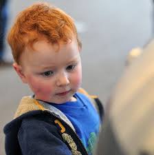 Star Wars costuming fans in Loveland share their fascination with the force  (slide show)