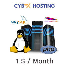 Best And Cheapest Shared Web Hosting Servers In India Hosting Company Web Hosting Website Hosting