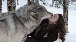 Save The Wolves Timber Wolf Wolves And Women Animals Wild