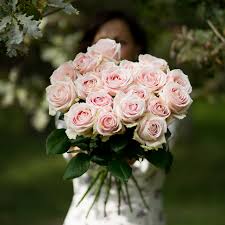 488 x 737 gif 14kb. Roze Rozen My Flowers Grote Bos Rozen Bestellen Bezorgen Binnen 48 Uur