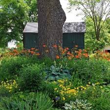 These small garden trees will help keep your garden beautiful throughout the year. Pdf Do Black Walnut Trees Have Allelopathic Effects On Other Plants Home Garden Series
