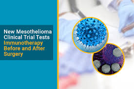 Mesothelioma blood tests and biomarkers. Mesothelioma Clinical Trial Tests Immunotherapy With Surgery Mesothelioma Guide