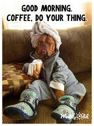 Good Morning Coffee Do Your Thing Funny Dogs Morning Funny Animal Memes Funny Pictures Good Morning Funny