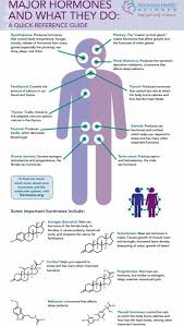 Major Hormones And What They Do Endocrine System Endocrinology Endocrine System Nursing Hormones Nursing Endocrine System Hormones