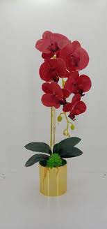 Bunga orkid latex home furniture home decor on carousell. Exclusive Single Stalk 3d Latex Orchid With Gold Rosegold Metallic Vase Gubahan Bunga Orkid Hiasan Affianze Com Shop Smart Earn Extra