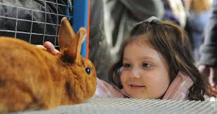 Here are 30+ virtual kid-friendly Pennsylvania Farm Show presentations