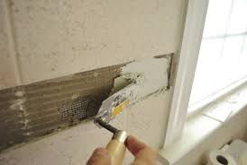 Replacing Old Shower Border Tiles Young House Love Tile Bathroom Bathroom Tile Diy Shower Accent Tile