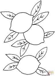 Gambar Ausmalbild Geburtstagstorte Coloring 4 Pinterest Torte Gambar Hitam Putih Flora Di Rebanas Rebanas