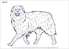 Do the children want to learn how to draw a horse or pony? Learn How To Draw A Dog Walking Dogs Step By Step Drawing Tutorials
