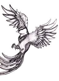 Bird In Flight Line Drawing Bird In Flight Sketch By Silentdreamer62 On Deviantart Flying Bird Drawing Bird Drawings Bird Sketch
