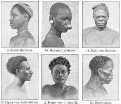 Pada zaman es ini ras mongoloid tersebar di daerah indonesia bagian barat meliputi pulau sumatra, jawa, dan kalimantan. Bentuk Muka Ras Malayan Mongoloid Brainly Co Id