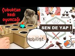 Evde Karton Ve Cubuklardan Kedi Oyuncagi Yapimi Hobilist Kedi Kedioyuncagi Karton Kolay Ucuz Kendinyap Geridonusum Atik Basit C 2020 Kedi Cubuk Oyuncak