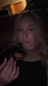 Merle Fluffy Wiener Dog