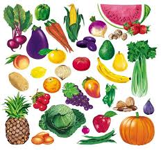 Fruits And Vegetables Pictures For Children Gambar Sayuran Warna