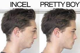 Tres genco, 21, allegedly wrote a. Are Incel Forums The New Pro Anorexia Groups Dazed Beauty