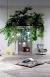 Living Room Plant Ceiling