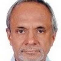 PDF) Chimeric multispecific DNA methyltransferases with novel combinations  of target recognition