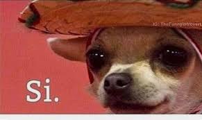 Pin De Beulah Em Memes Memes