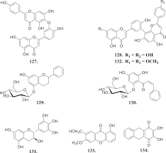 Image result for Drypetes gerrardii