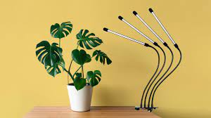 This Plant Light Works So Well Shoppers Are Growing Orchids In Their Basements In 2021 Plant Lighting Grow Lights For Plants Plants