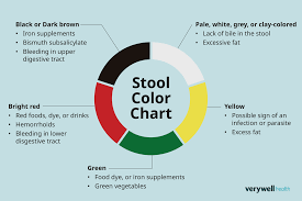 Image result for blood in stool human poop