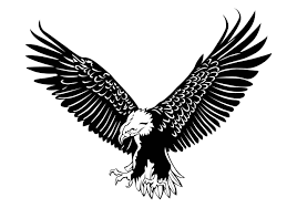 Birds Of Prey Logo Vector 2975 Best Eagle Flying Free Vector Art Downloads From The Vecteezy Community Eagle Flying Free Vector Art Licensed Eagle Vector Vector Art Design Vector Free