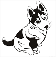 Check spelling or type a new query. Husky Puppies Coloring Pages Puppy Coloring Pages Coloring Pages For Kids And Adults