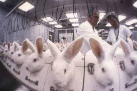 This causes controversy for smaller brands that are cruelty free but were acquired by estée lauder. Avon Mary Kay And Estee Lauder Secretly Paying For Tests On Animals In China My Beauty Bunny Cruelty Free Lifestyle Blog
