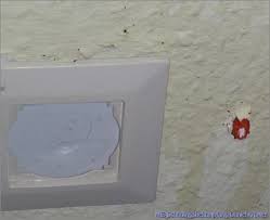 2 treating your mattress and fabrics. Bed Bug Preparation Checklist Mibabs Berlin