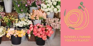 Skip to main | skip to sidebar. A Flowers And Farming Podcast Playlist For Farmer Florists