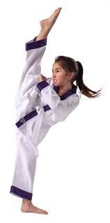 The story of karate's journey to the olympics would make a pretty good backstory for a martial arts movie by the numbers: Fight Girl