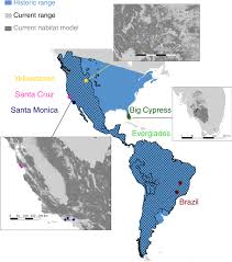 Puma web trader is a hassle free platform. Puma Genomes From North And South America Provide Insights Into The Genomic Consequences Of Inbreeding Nature Communications