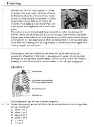 Examen Vwo Biologie Gaswisseling Oefenen