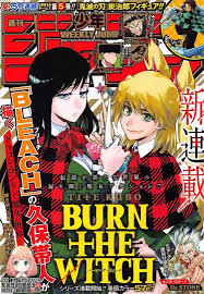 Burn The Witch Anime Cover Photo Manga Covers Anime Wall Art