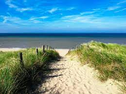 'haal vlees uit de spotlight'. Holland Nordsee Foto Bild Landschaft Meer Strand Strandmakros Bilder Auf Fotocommunity