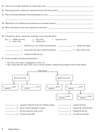 Solved) - On The Incomplete Flowchart Provided Below: Fill In The Cavity...  (1 Answer) | Transtutors