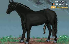 animal genitalia animal penis animated bodily fluids cum cum on  ground cumshot digital media (artwork) ejaculation equid equine erection  feral fur genital fluids genitals gif helios husky hi res