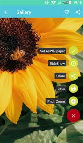 Yellow Aesthetic Wallpaper Hd For Android Apk Download