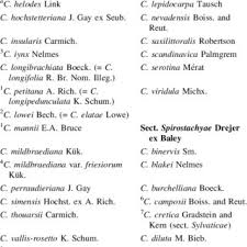 Image result for Carex mildbraediana