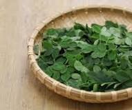 Moringa Leaves: ডাঁটা বা ফুল নয়, শীতকালে ...