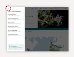 Image result for Ozoroa pwetoensis