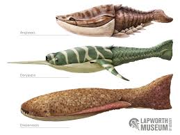 Image result for Osyridicarpos