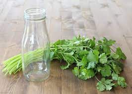 We did not find results for: How To Store Fresh Cilantro Bren Did
