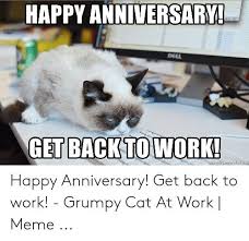 Tuxedo cats randy s random. Unique Anniversary Meme Memes Anniversary Meme Funny Memes