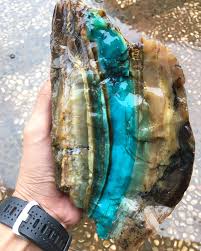 Hot Gemstones For 2018 Introducing New Petrified Wood With Blue Opal Rough Gems And Minerals Crystals Minerals Rocks And Minerals