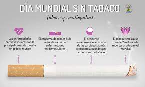 Los peligros particulares del tabaquismo para la salud pulmonar Dia Mundial Sin Tabaco Concurso De Iniciativas Para Visibilizar La Labor Farmaceutica En La Lucha Contra El Tabaquismo Ilustre Colegio Oficial De Farmaceuticos De Malaga