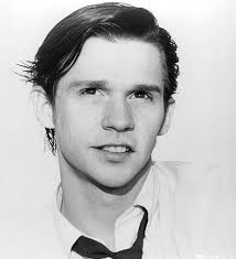 Actor's career and filmography overview