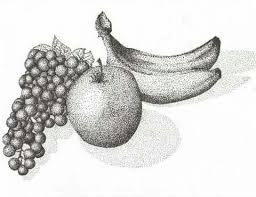Pointilsm Stippling Still Life Pointillism Fruit Art Drawings Still Life Drawing
