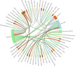 Chrod Diagramm Diagram Pie Chart Chart
